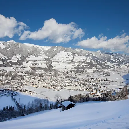 Mittersill Near Bus & Kitzbuehel Апартаменты Холлерсбах (Пинцгау)