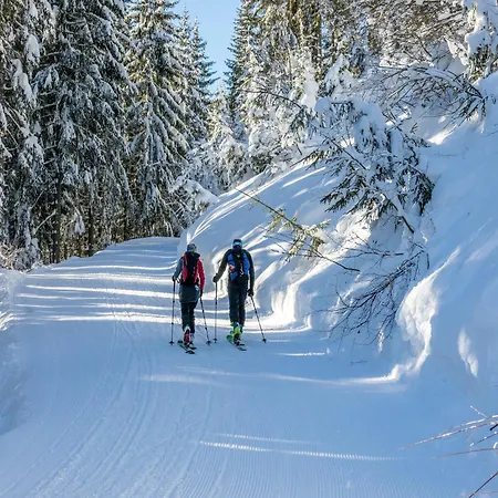 Mittersill Near Bus & Kitzbuehel Апартаменты